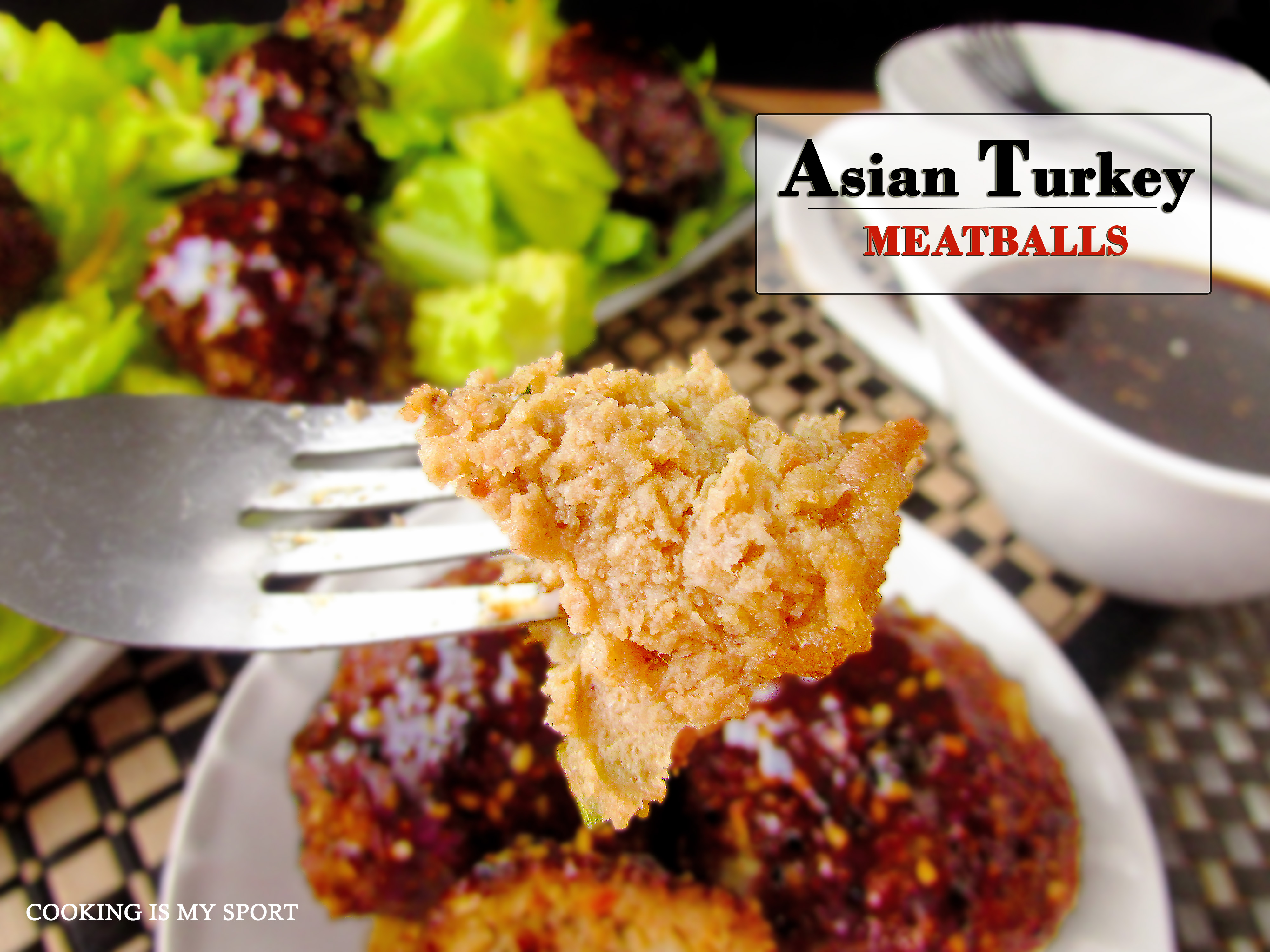 Asian Turkey Meatballs5
