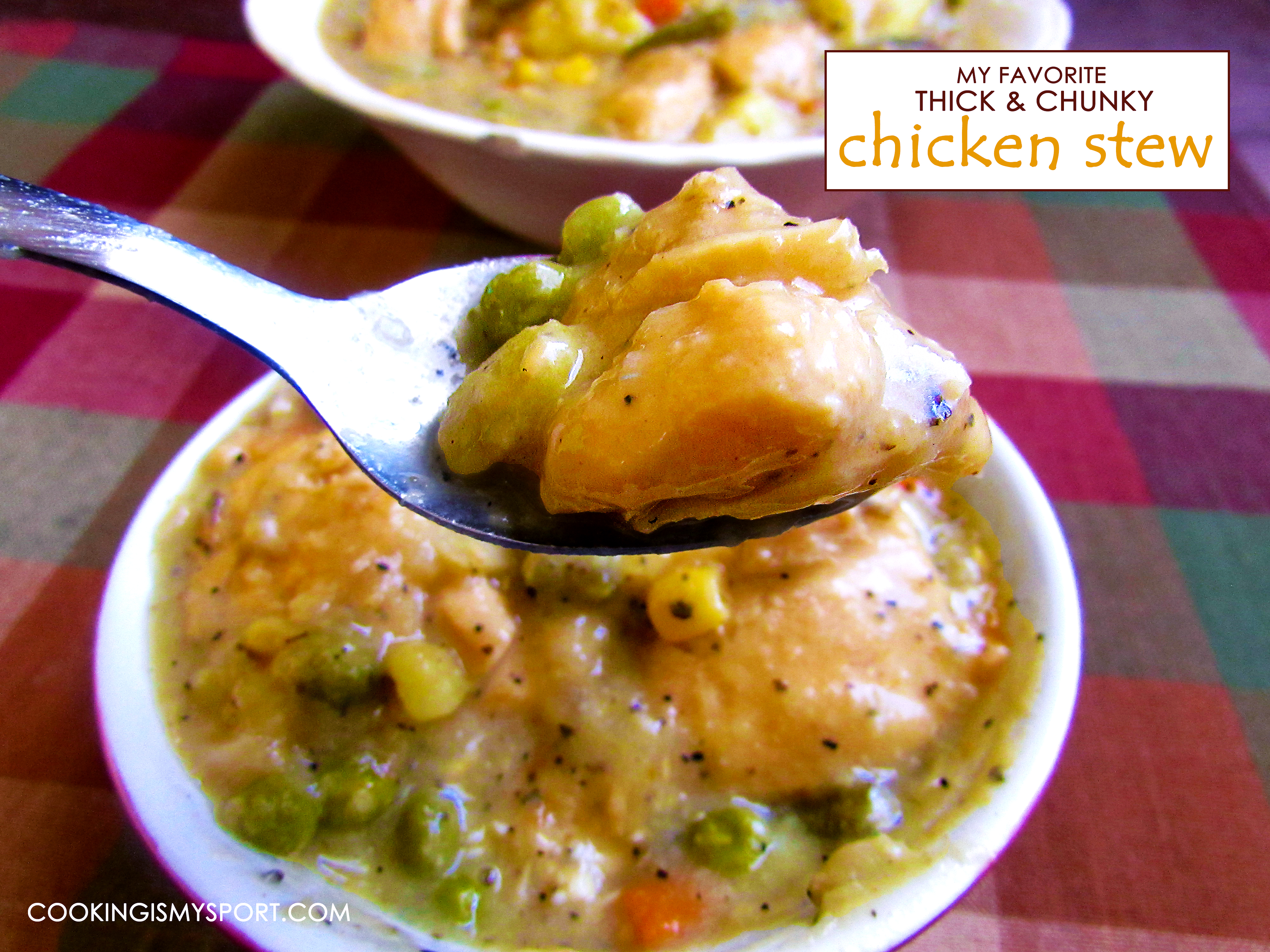 thick-and-chunky-chicken-stew2